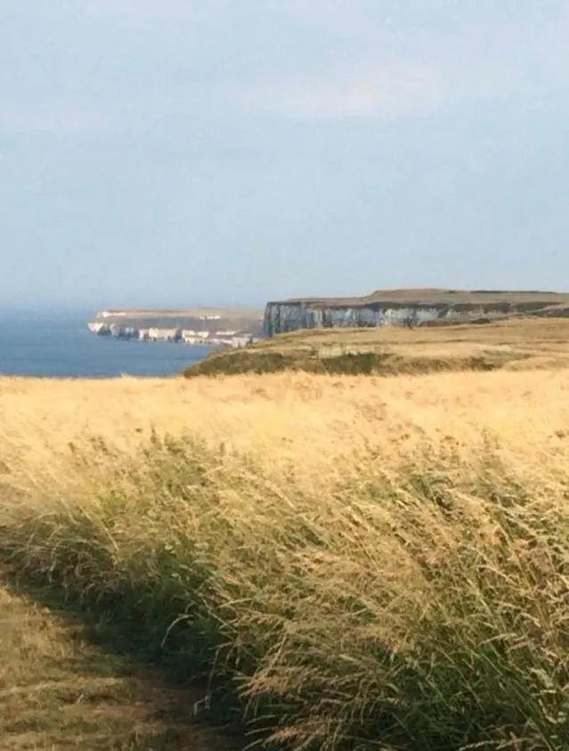 Hotel 16 Gannet Grove Thornwickbay. Haven Site Flamborough Wielka Brytania