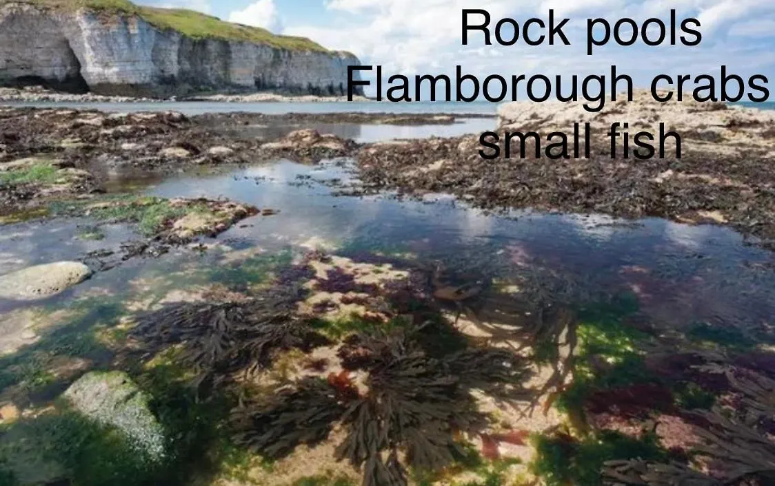 Hotel 16 Gannet Grove Thornwickbay. Haven Site Flamborough