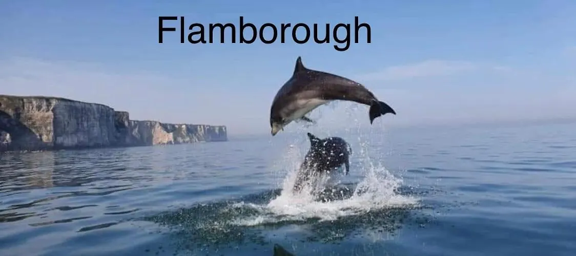 16 Gannet Grove Thornwickbay. Haven Site Otel Flamborough