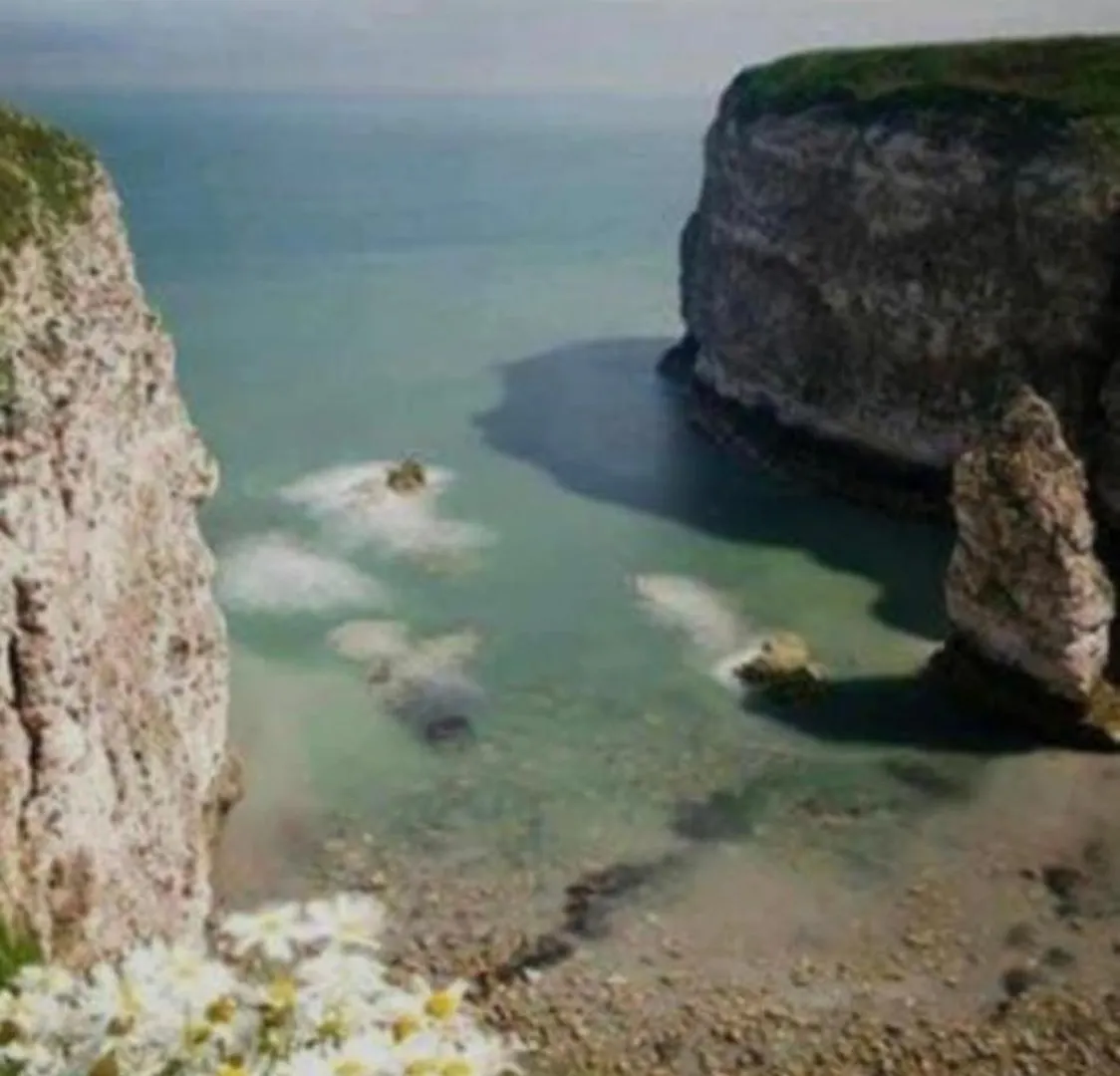 16 Gannet Grove Thornwickbay. Haven Site Otel Flamborough